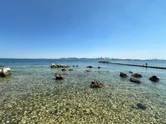 -养马岛旅游度假区