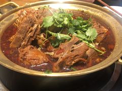 -友乐居羊蝎子(西直门店)