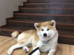 -YCHL Studios健身工作室(市二宫店)