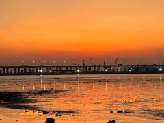 -宝安西湾红树林湿地公园