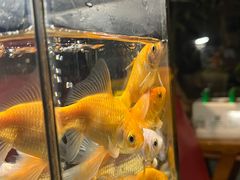 -上楼私房菜(院士路店)