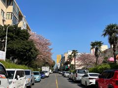 -宝健路步行街(Pedestrian Shopping Street)