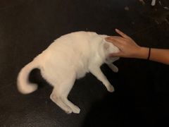 -Doors独立剧情密室(东门分店)