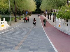 -朝阳公园游乐园