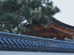 -东方艺术博物馆