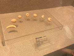 -南越王博物院(王宫展区)