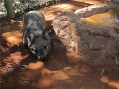 -费瑟代尔野生动物园