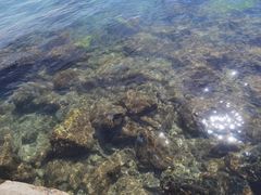 -三亚西岛海洋文化旅游区