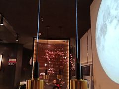 -老板恋上鱼(印象城店)