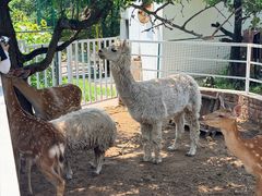 -丽泽山庄·生态怀柔菜·虹鳟鱼(红螺寺店)