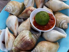 -东海岸人工湖美食村