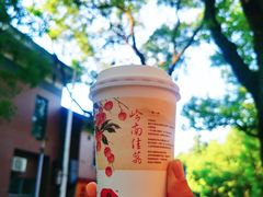 -茶颜悦色(登高路上店)