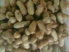 -老猎户炭火锅羊汤(万达店)