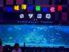 -泉城欧乐堡海洋极地世界