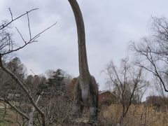 -自然谷恐龙园