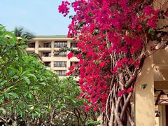 -三亚亚龙湾天域度假酒店