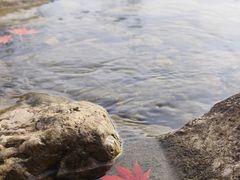-洋湖沟