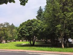 -黄河小浪底水利枢纽风景区