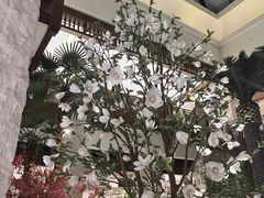 -太湖饭店玉兰厅(自助餐厅)