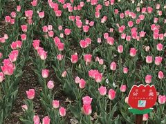 -长春公园(普阳街道)