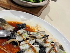 古法蒸老虎斑-利苑酒家(金宝店)
