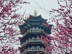 -洋湖国家湿地公园
