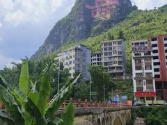 -长寿村