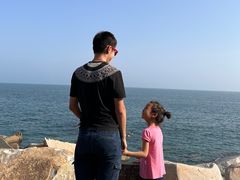 -广东惠东海龟国家级自然保护区