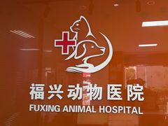 -瑞派福兴宠物医院犬猫全科·骨科·中西医结合(河东店)