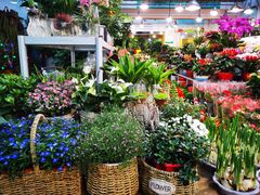 -双季花艺园艺市场(浦东店)