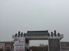 -天王浮山樱花园