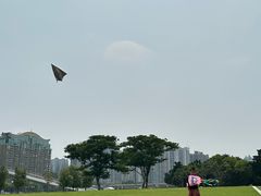-二沙岛艺术公园