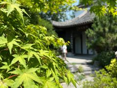 -武汉园博园(武汉自然博物馆)