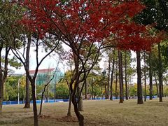 -美兰湖景区