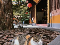 -龙华寺