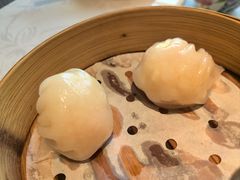 维园虾饺皇-维园悦谱·海派家常菜(乌鲁木齐南路店)