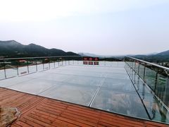 -青岛森林野生动物世界