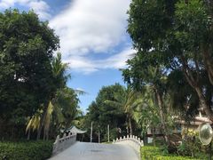 -亚龙湾亚泰商业街