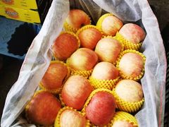 -西郊国际农产品交易中心