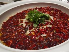 -渔人码头(中南店)