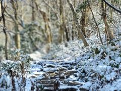 -萍乡武功山风景名胜区