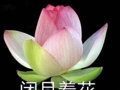 -越南牛肉河粉餐厅(书院巷店)