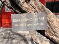 -北京鲁迅博物馆(北京新文化运动纪念馆鲁博馆区)