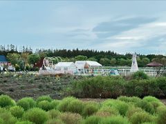 -嘉北郊野公园