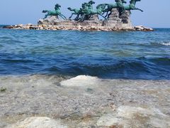-养马岛旅游度假区