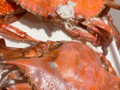 -大锅强·蒸海鲜青岛菜(吾悦广场店)