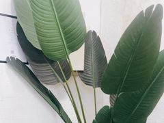 -红像馆连锁精致证件照职场照(中关村店)