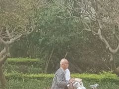 -燕晗山郊野公园