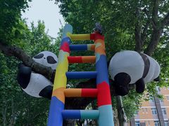 -西安电影制片厂