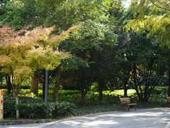 -苏州河梦清园环保主题公园